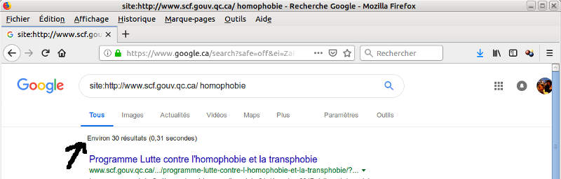 Avec le mot clé homophobie sur le site du Secrétariat à la condition féminine il y a 30 liens.