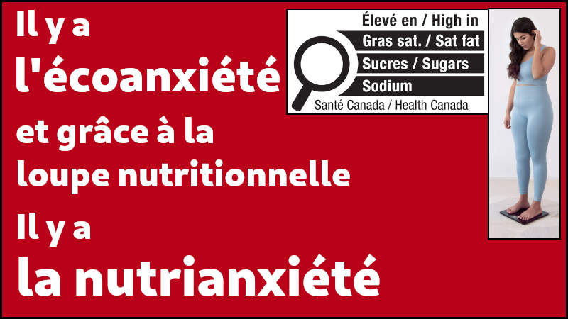 L'anxi�t� nutritionnelle a des cons�quences sur la sant� mentale et physique des femmes.