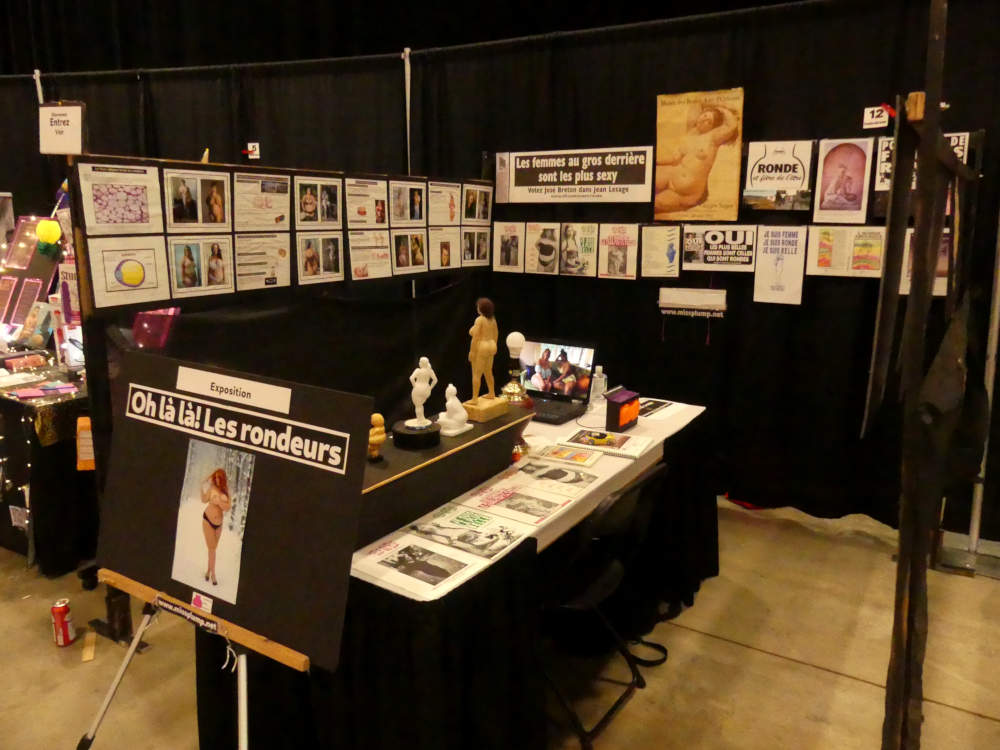 Vu du gauche de mon exposition avec les 8 premiers tableaux expliquant l'utilit� des rondeurs f�minines